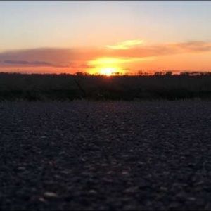 Meet your Posher, Logan